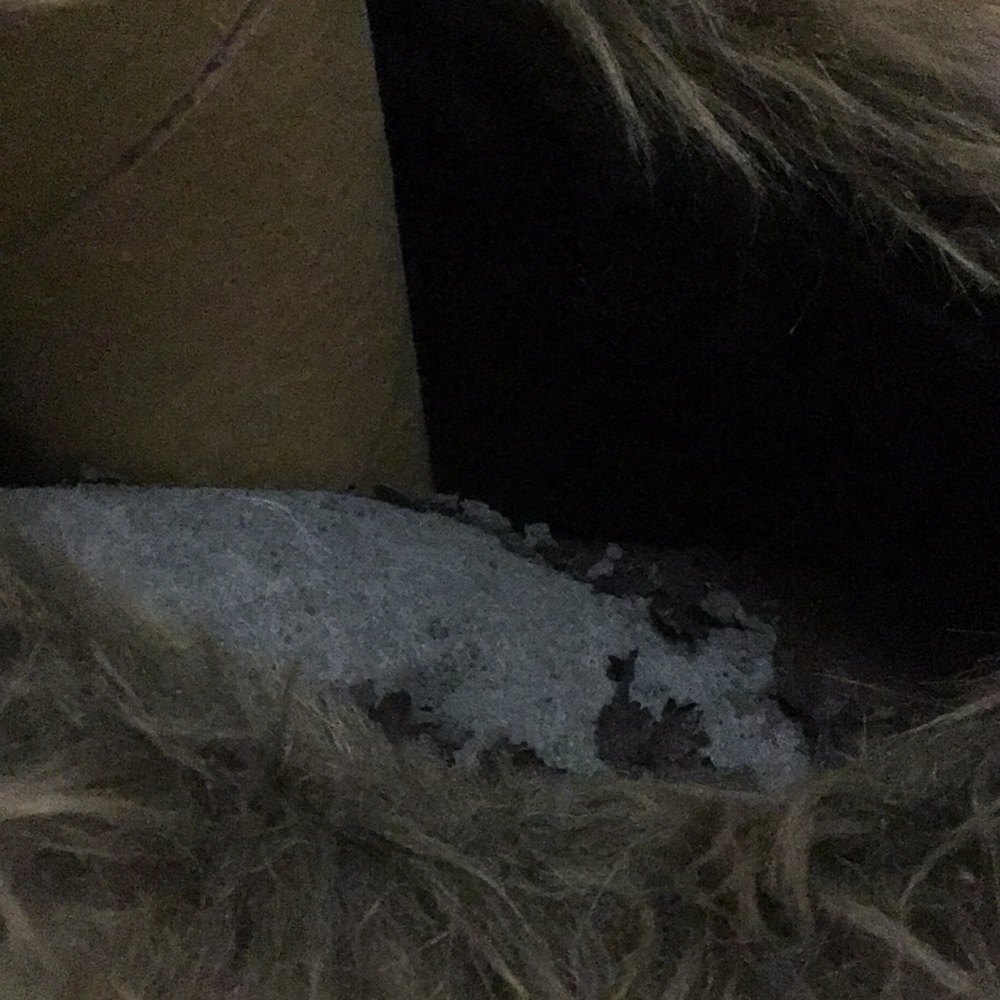 Steve Madden Boots - Picture 6 of 8